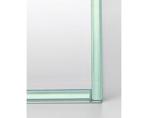 Aquarium EHEIM Glasbecken clearTank 73 60 x 35 x 35 cm bei HORNBACH kaufen